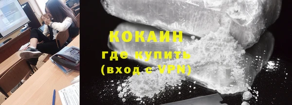 шишки Богородск