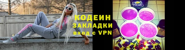шишки Богородск