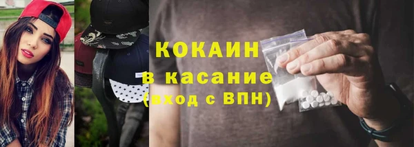 шишки Богородск