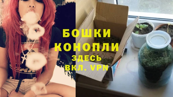 шишки Богородск