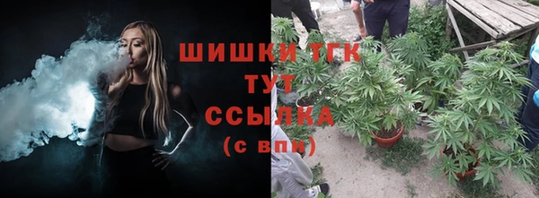 шишки Богородск
