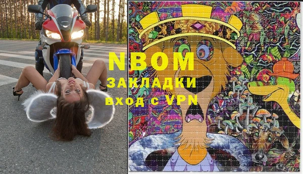 шишки Богородск